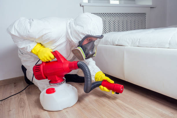 Emergency Pest Control Services in Empire, CA